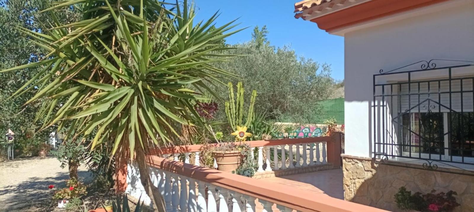 Villa Oasis Los Gallardos Buitenkant foto